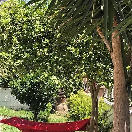 Enjoy Peace And Quiet In A Beautiful Private Home In Brilliant Location In Side Apartment Side