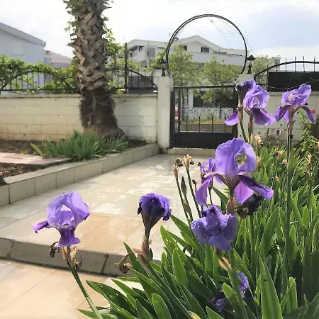 Enjoy Peace And Quiet In A Beautiful Private Home In Brilliant Location In Side Side